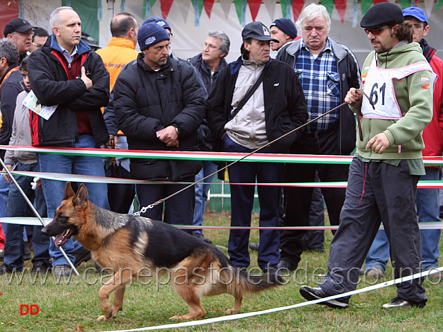 048.jpg - Giovanissime femmine Frau di Zenevredo