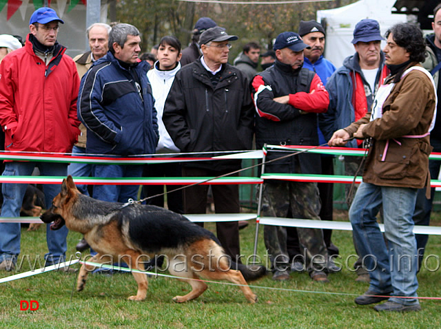 054.jpg - Giovanissime femmine Furba del Ceresio