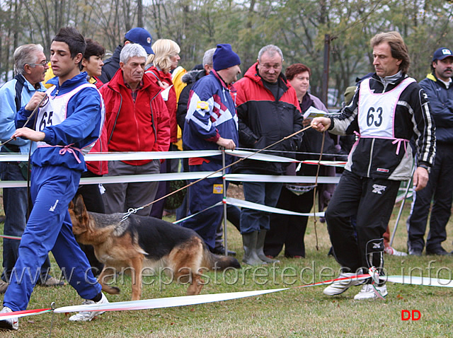 082.jpg - Giovanissime femmine Lilly dei Due Fiumi