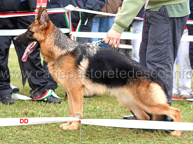 097.jpg - Giovanissime femmine 1  Frau di Zenevredo