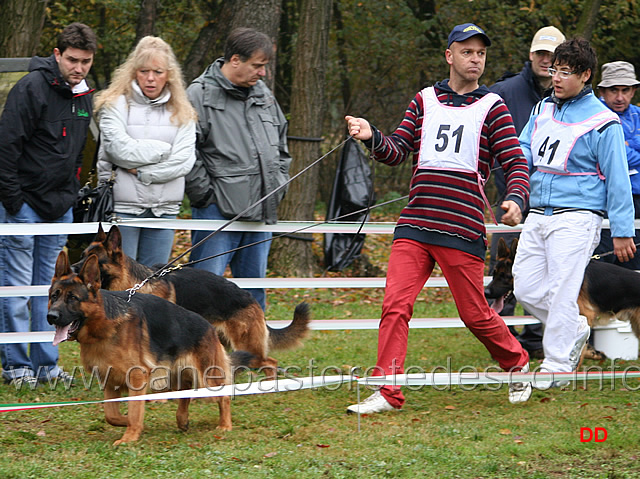 122.jpg - Giovanissimi maschi Paer Blue Iris e Jack del Samengio