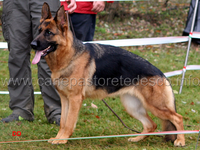 149.jpg - Giovani femmine 4 Zilly Geminus Park