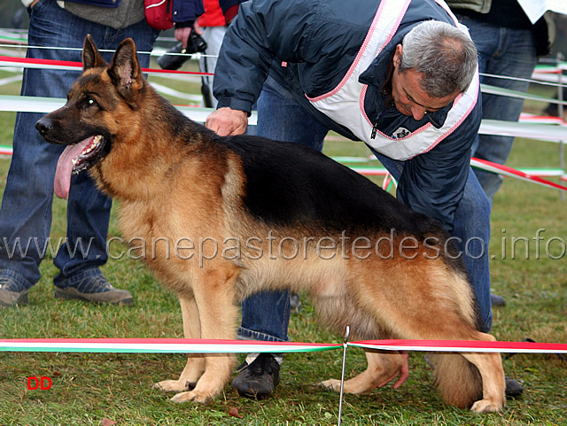 155.jpg - Giovani maschi 6 Giampi dei Fermass