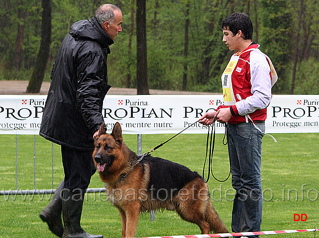 058.jpg - Il giudice Maestroni passa in rassegna i cani, controllandone anche l'equilibrio caratteriale