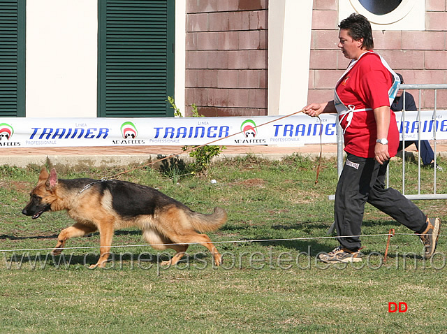 012.jpg - Juniores femmine Jador di Turboland