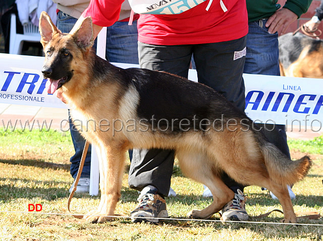 019.jpg - Juniores femmine 2 Jador di Turboland