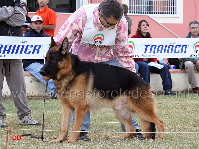 105.jpg - Libera maschi 5 Max del Quercus Suber