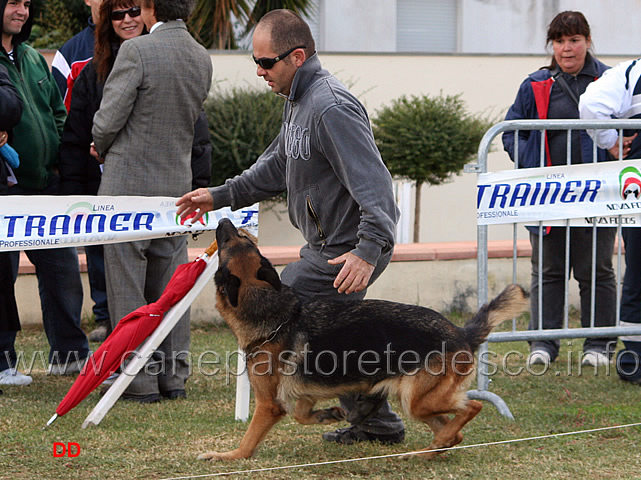 115.jpg - Do di Aurelius Victor al fuss