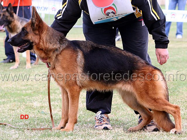 121.jpg - Lavoro femmine 2 Puma di Turboland