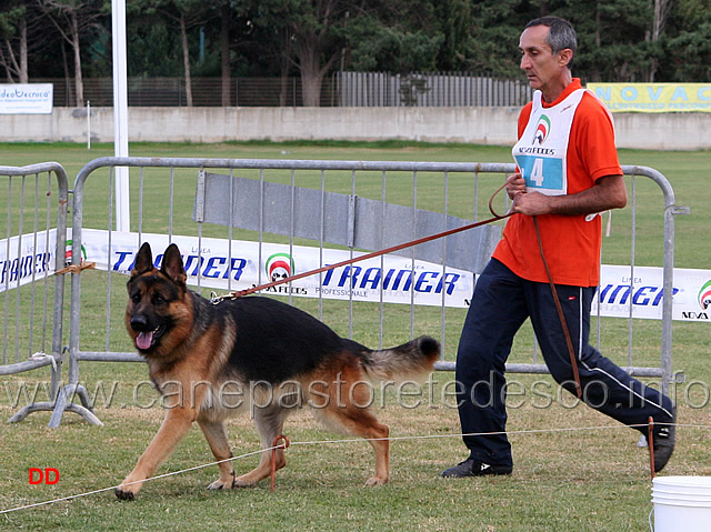 126.jpg - Lavoro maschi Fred della Torre dello Sperone