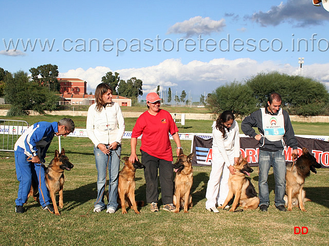 148.jpg - Allevamento di Turboland 1 classificato