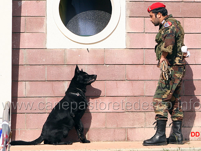 162.jpg - Dimostrazione dell'unità cinofila
