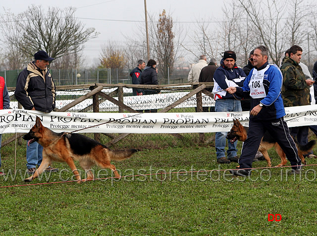 017.jpg - Cucciolone femmine Roxi delle Tamerici Salmastre