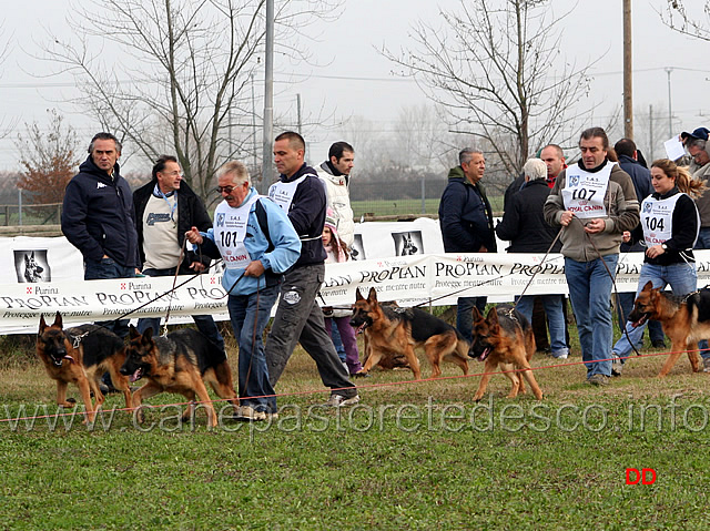 021.jpg - Cucciolone femmine Arlett, Ambramarie, Randy Valentinientis, Lotte