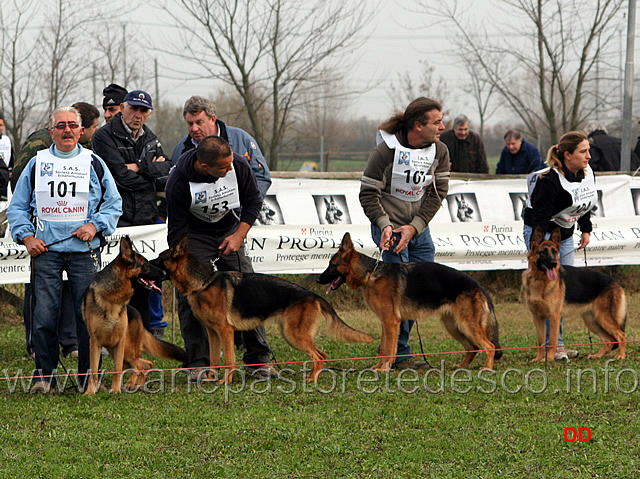 023.jpg - Cucciolone femmine Arlett, Ambramarie, Randy Valentinientis, Lotte