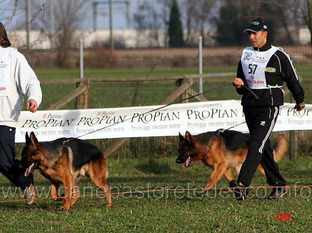 069.jpg - Giovanissimi maschi Odis del Colle Antico e Gerryval Ciro