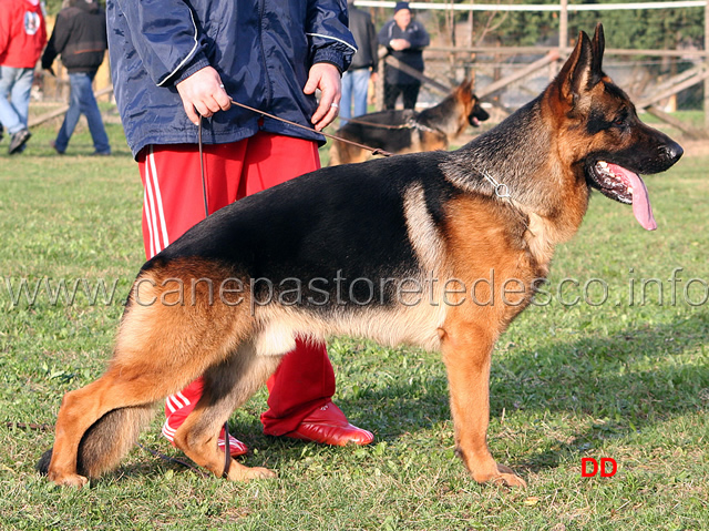 093.jpg - Giovanissimi maschi 2 Odis del Colle Antico