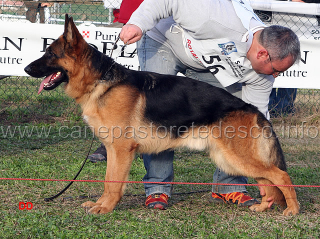 096.jpg - Giovanissimi maschi 5 Jango del Samengio