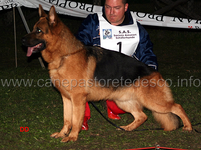 123.jpg - Adulti maschi 1 Barros Furstenau