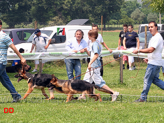 baby-maschi-nico-di-casa-farina-e-pacros-degli-iapigi.jpg - Baby maschi  Nico di Casa Farina e Pacros degli Iapigi