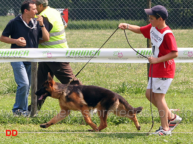 baby-maschi-peppe-della-valle-del-liri-.jpg - Baby maschi Peppe della Valle del Liri