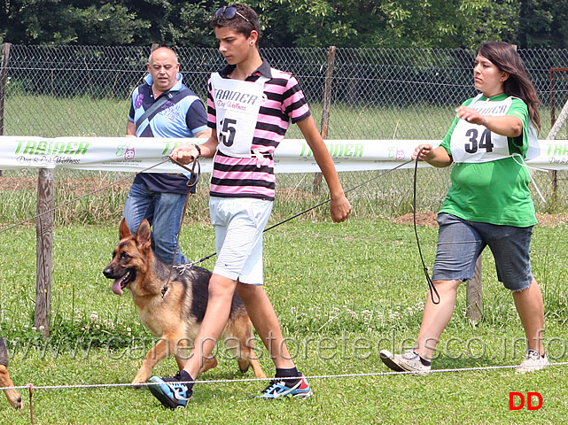 carina-ulmental.jpg - Juniores femmine Carina d'Ulmental