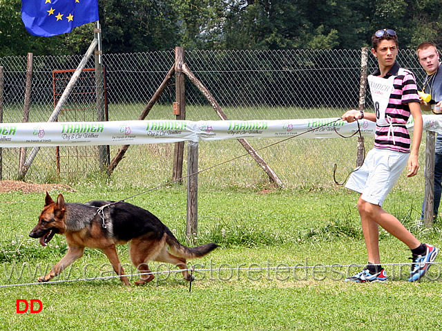 cucciolone-femmine-nora.jpg - Cucciolone femmine Nora