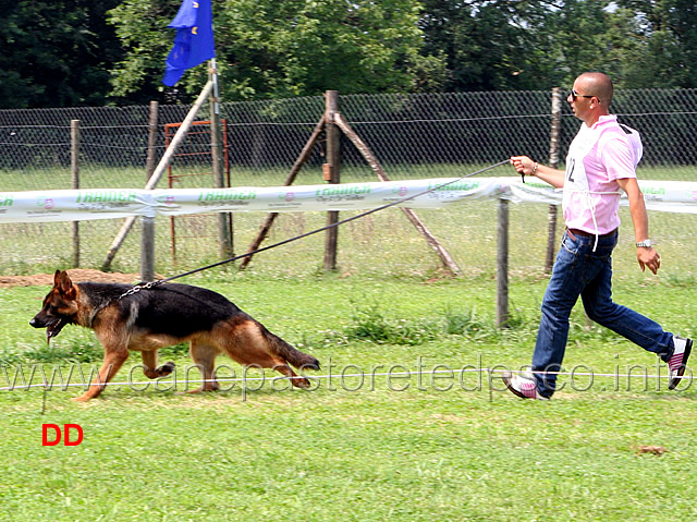cuccioloni-maschi-aron-johnson.jpg - Cuccioloni maschi Aron Johnson