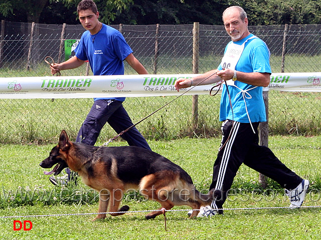 cuccioloni-maschi-ghost-della-bella-galliana.jpg - Cuccioloni maschi Ghost della Bella Galliana