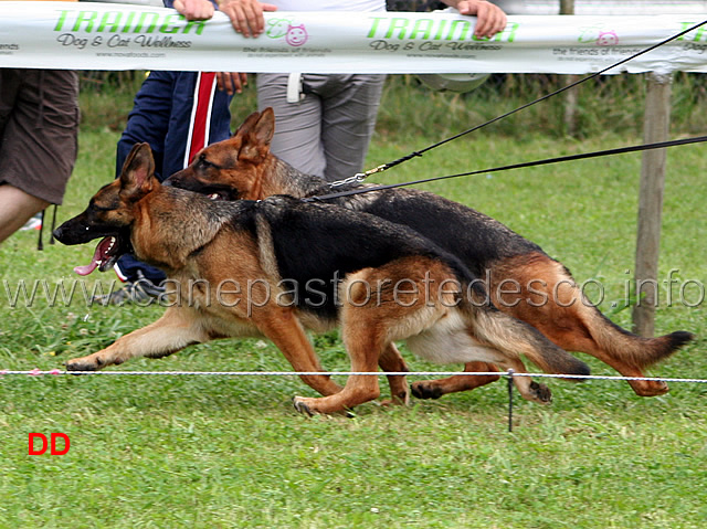 elen-di-cariddi-e-chey-degli-achei-03.jpg - Elen di Cariddi