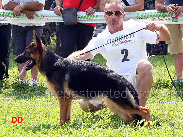 gemma-dell-alpe-adria-1-MP-baby-femmine.jpg - Gemma dell'Alpe Adria 1 MP Baby femmine