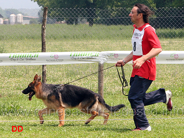 juniores-femmine-etna-dell-appio.jpg - Juniores femmine Etna dell'Appio