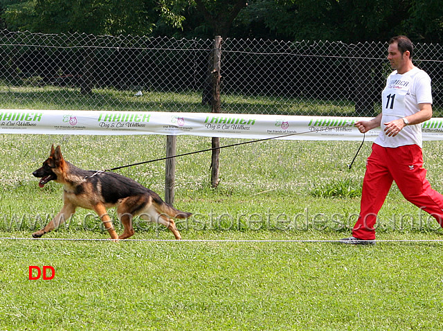 juniores-femmine-gea-dell-appio.jpg - Juniores femmine Gea dell'Appio