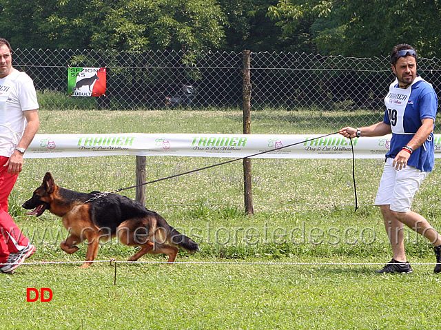 juniores-femmine-gina-di-casa-vizzato.jpg - Juniores femmine Gina di Casa Vizzato