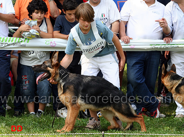 nico-di-casa-farina-7-MP-baby-maschi.jpg - Nico di Casa Farina condotto da Vincenzo Castaldo