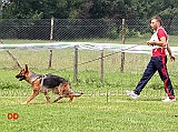 cucciolone-femmine-yuma-dei-monti-della-laga