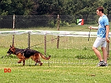 cucciolone-femmine-zambia-degli-achei