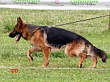 dix-del-frutteto-02