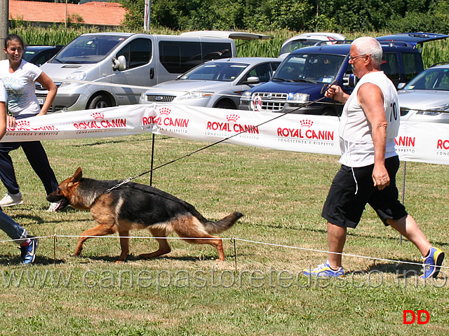 cucciolone-femmine-annet-di-casa-piellier.jpg - Cucciolone femmine Annet di Casa Piellier 