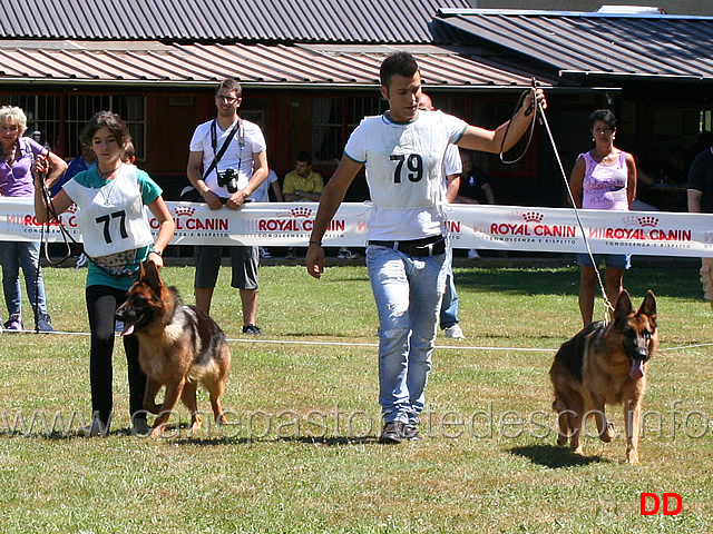 diana-della-valcuvia-e-desy-di-casa-cip.jpg -   Diana della Valcuvia e Desy di Casa Cip