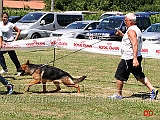 cucciolone-femmine-annet-di-casa-piellier