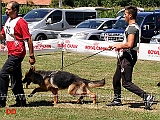 cucciolone-femmine-chira-di-casa-max