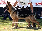 fimo-del-ceresio-3mp-juniores-maschi