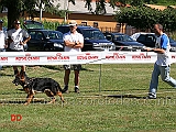 gold-di-chiaromantello