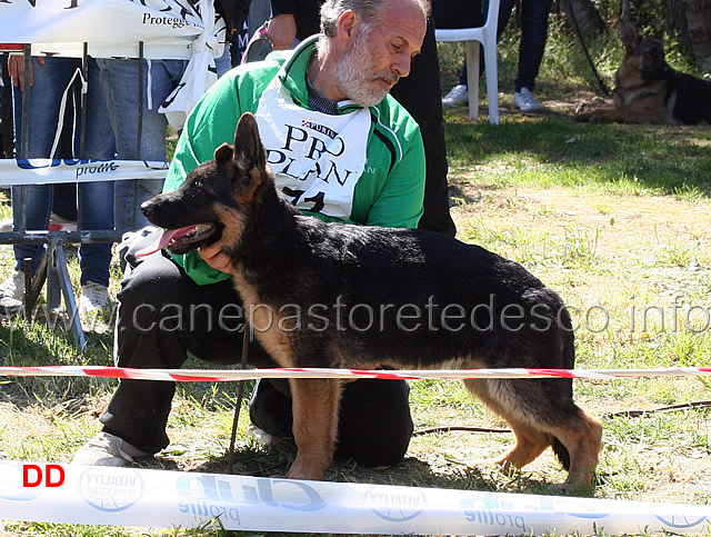 agos-5mp-baby-maschi.jpg - Agos 5 MP Baby maschi 