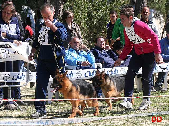 aiko-di-casa-lupo-e-zagherias-aron.jpg - Aiko di Casa Lupo e Zagheria's Aron 