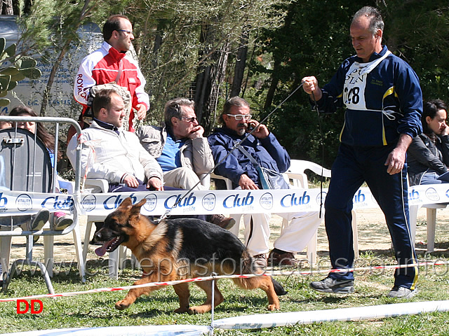 baby-maschi-aiko-di-casa-lupo.jpg - Classe Baby maschi Aiko di Casa Lupo 