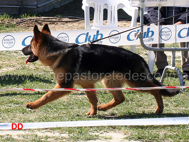 baby-maschi-ilbo-del-rione-antico.jpg - Classe Baby maschi Ilbo del Rione Antico 