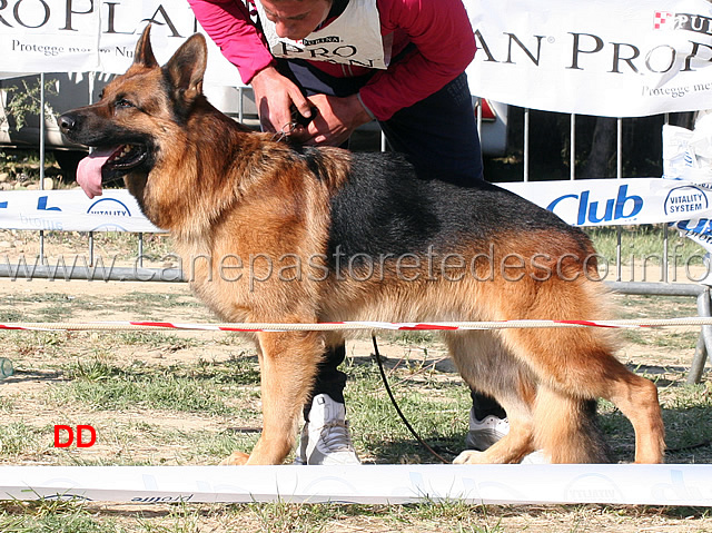 cos-della-grande-valle-2ecc-lavoro-maschi.jpg -  Cos della Grande Valle 2 Ecc Lavoro maschi 