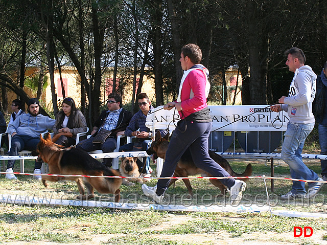 cos-passa-in-prima-posizione.jpg - Cos della Grande Valle passa in prima posizione